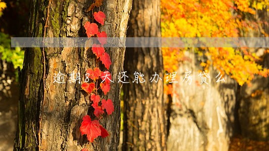 逾期8天还能办理房贷么 逾期8天还能办理房贷么