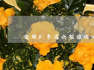 逾期8年还会被催收吗 逾期8年还会被催收吗