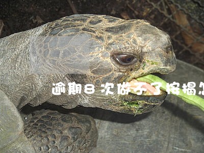 逾期8次做不了按揭怎么办 逾期8次做不了按揭怎么办
