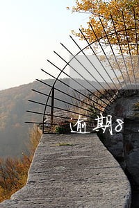 逾期8次如何消除 逾期8次如何消除