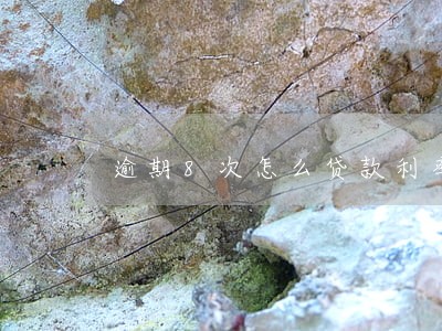 逾期8次怎么贷款利率 逾期8次怎么贷款利率