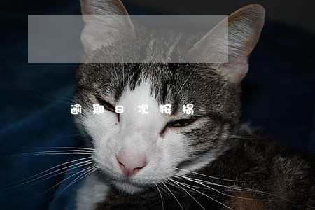 逾期8次按揭 逾期8次按揭