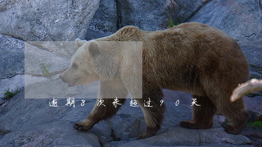 逾期8次未超过90天 逾期8次未超过90天