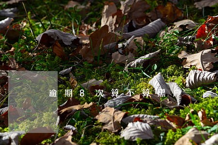逾期8次算不算黑户 逾期8次算不算黑户