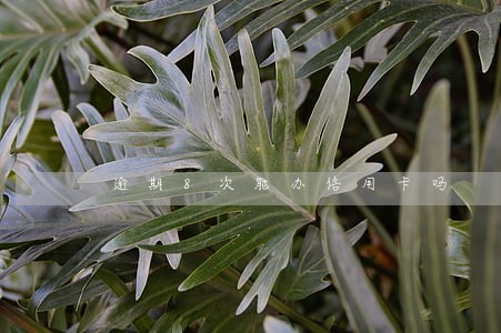 逾期8次能办信用卡吗 逾期8次能办信用卡吗