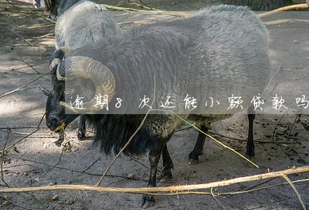 逾期8次还能小额贷款吗
