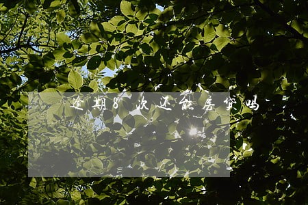 逾期8次还能房贷吗 逾期8次还能房贷吗