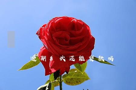 逾期8次还能贷款吗 逾期8次还能贷款吗