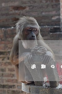 逾期90以上利息企业所得税 逾期90以上利息企业所得税