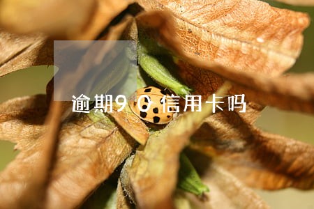 逾期90信用卡吗