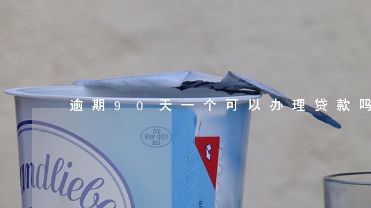 逾期90天一个可以办理贷款吗 逾期90天一个可以办理贷款吗