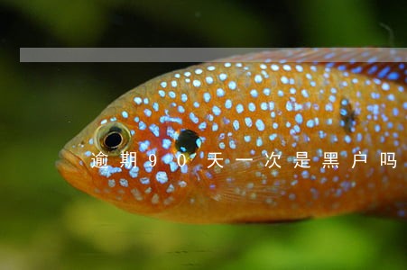 逾期90天一次是黑户吗 逾期90天一次是黑户吗
