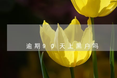 逾期90天上黑户吗 逾期90天上黑户吗
