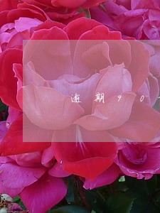 逾期90天不良贷款比例