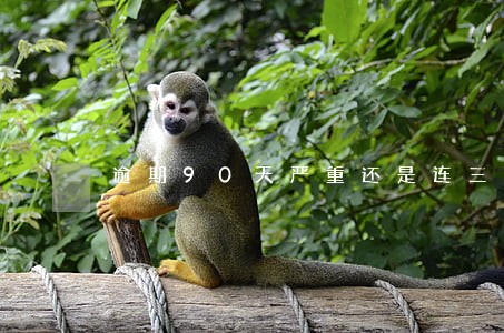 逾期90天严重还是连三累六严重 逾期90天严重还是连三累六严重