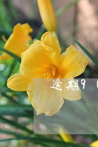 逾期90天以上信用卡的欠款种类 逾期90天以上信用卡的欠款种类
