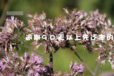 逾期90天以上先还本的规定 逾期90天以上先还本的规定