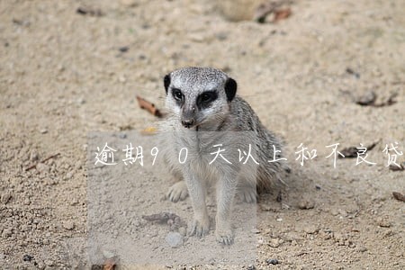 逾期90天以上和不良贷款 逾期90天以上和不良贷款