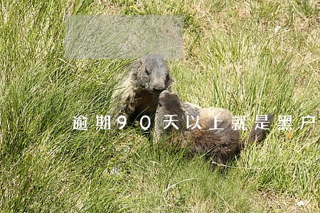 逾期90天以上就是黑户忙 逾期90天以上就是黑户忙