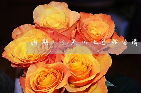 逾期90天以上已经结清 逾期90天以上已经结清