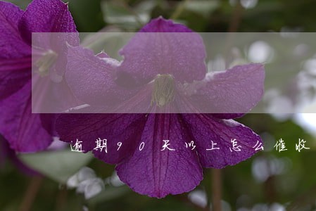 逾期90天以上怎么催收 逾期90天以上怎么催收