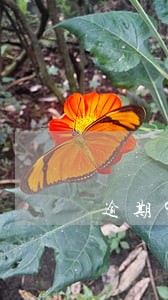 逾期90天以上有什么后果 逾期90天以上有什么后果