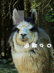 逾期90天以上未纳入不良 逾期90天以上未纳入不良
