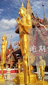 逾期90天以上本金 逾期90天以上本金
