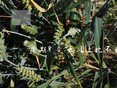 逾期90天以上比不良贷款 逾期90天以上比不良贷款