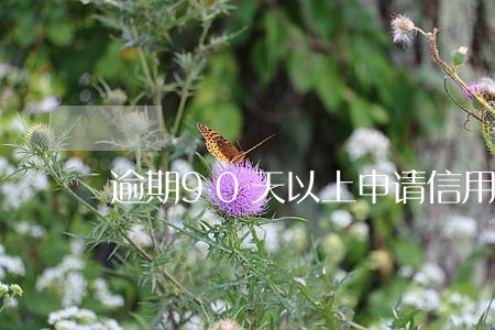 逾期90天以上申请信用卡 逾期90天以上申请信用卡