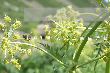 逾期90天以上的账户数 逾期90天以上的账户数