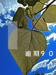 逾期90天以上的贷款吗 逾期90天以上的贷款吗