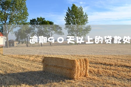 逾期90天以上的贷款处置 逾期90天以上的贷款处置