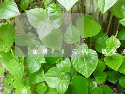 逾期90天以上能贷房贷6 逾期90天以上能贷房贷6