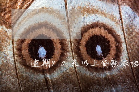 逾期90天以上贷款冻结 逾期90天以上贷款冻结