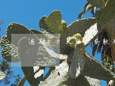 逾期90天以上贷款减少 逾期90天以上贷款减少