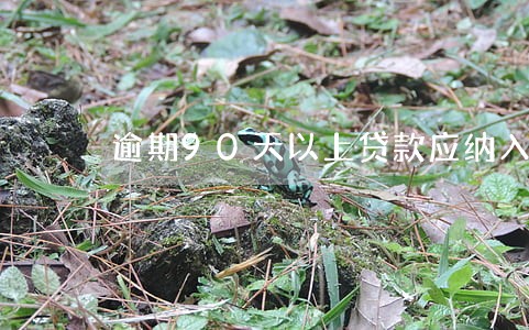 逾期90天以上贷款应纳入不良 逾期90天以上贷款应纳入不良