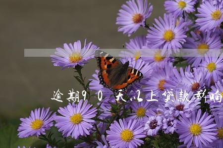 逾期90天以上贷款影响吗 逾期90天以上贷款影响吗