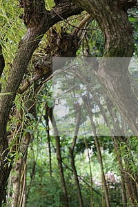 逾期90天以上贷款怎么统计 逾期90天以上贷款怎么统计