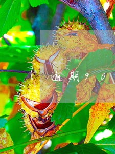 逾期90天以上贷款纳入不良6 逾期90天以上贷款纳入不良6