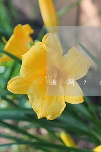 逾期90天以上贷款计不良 逾期90天以上贷款计不良
