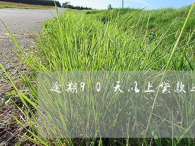 逾期90天以上贷款进不良 逾期90天以上贷款进不良