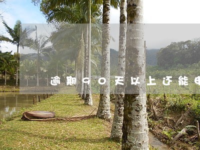 逾期90天以上还能申请信用卡吗 逾期90天以上还能申请信用卡吗