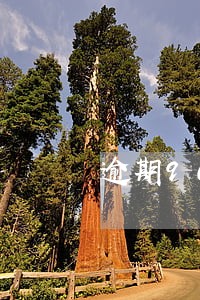 逾期90天以上进入不良规定