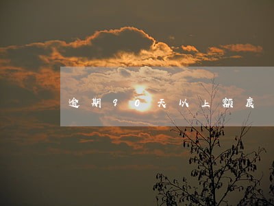 逾期90天以上额度 逾期90天以上额度