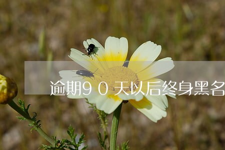 逾期90天以后终身黑名单 逾期90天以后终身黑名单