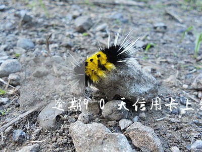 逾期90天信用卡上黑名单吗