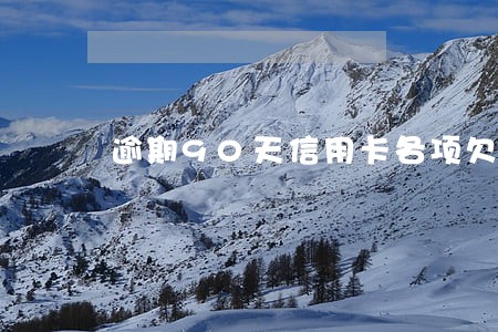 逾期90天信用卡各项欠款 逾期90天信用卡各项欠款