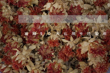 逾期90天信用卡还能用吗 逾期90天信用卡还能用吗