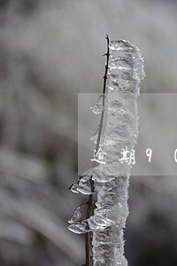 逾期90天停卡漂白 逾期90天停卡漂白